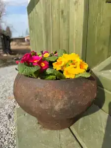 как у бабушки - 31