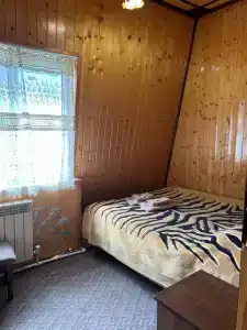 Золотой мустанг - 34