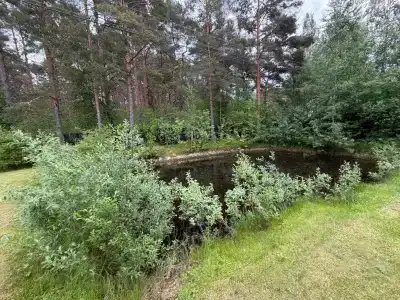 Медвежья Кара - 15