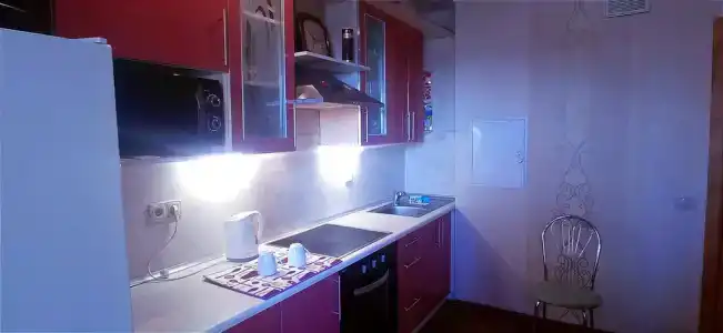 Apartment on Pritytskogo - 17