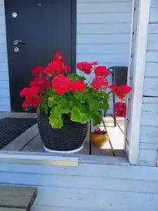 Дом для отдыха - 81