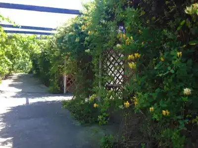 Отрада Плюс - 9