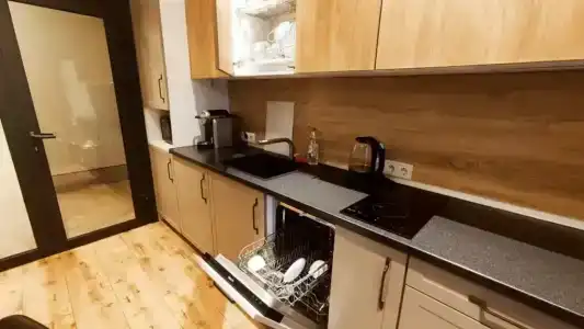 Родина Аэро - 91