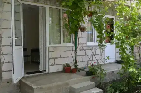 Родничок - 36