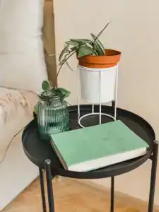 Есенин Окский - 25