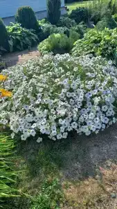 Дом для отдыха - 14