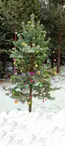 Тёплый коттедж с баней Maatalo - 41