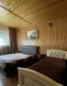 Особняк в живописном районе Куртатинского ущелья - 61