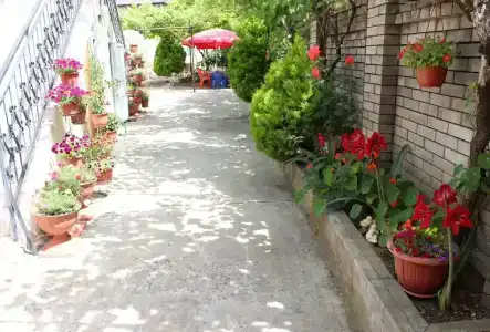Отдых у Джульетты - 32