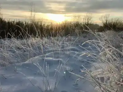 Уютный дом с камином - 24