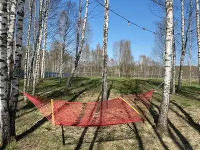 Каникулы - 21