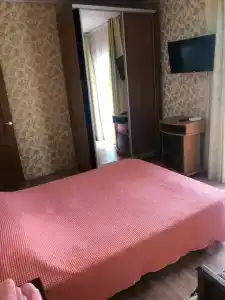 Кипарис - 133