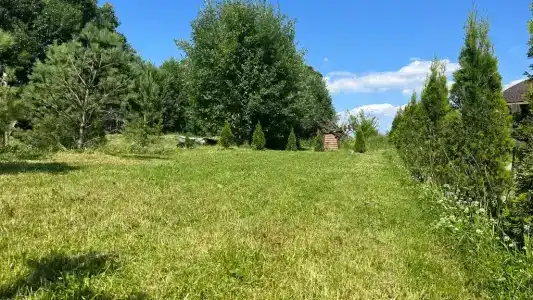 Рай в шалаше - 198