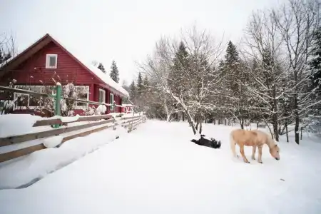 Уютный зимний дом в сказочно живописном месте - 5