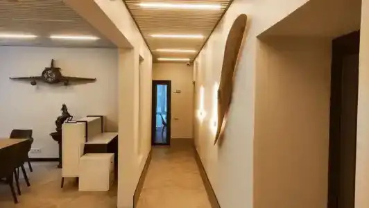 Родина Аэро - 87