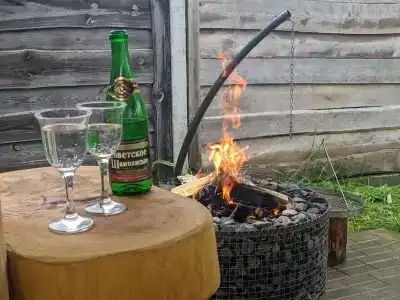 Васильки - 29