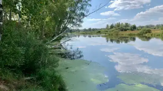 Дача для отдыха - 11