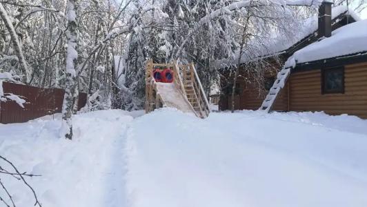 Дикий Лис - 52