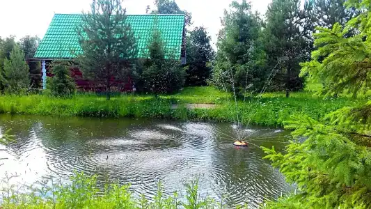 Гостевой дом в Черемшине - 12
