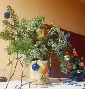 Гостевые номера - 10