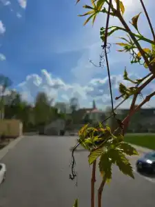 Квартиры на Карла Маркса 9 - 129