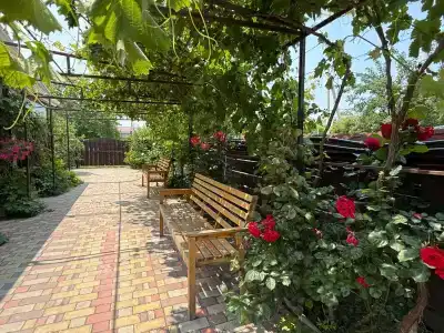 Green House - 17