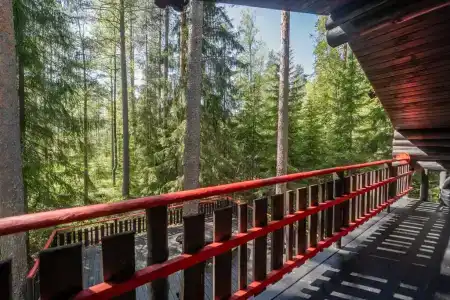 Шишки на Лампушке - 217