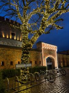 Квартиры на Гагарина 11 - 72