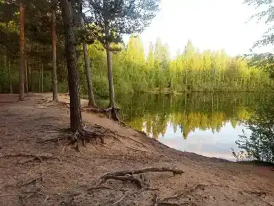 Норвежский - 26