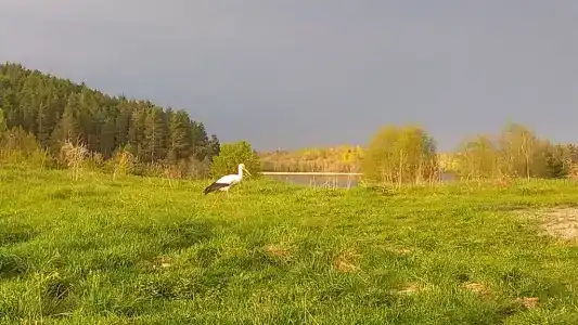 Дома усадьбы Александровские Горы - 3