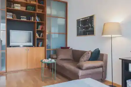 GM 2 rooms flat Patriarshie view - 11
