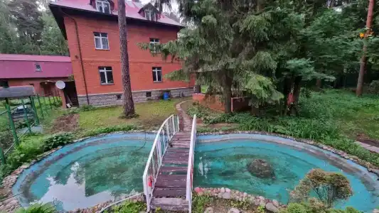 Замок в сосновом лесу - 22