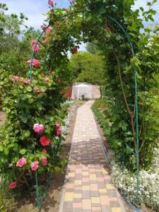 Дом на Пляжной 12 - 54