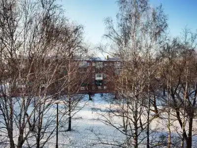 Калина на Строителей, 41 - 13