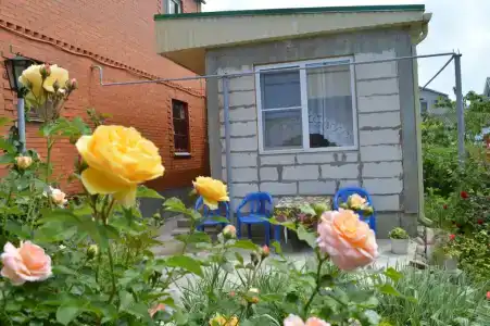 Родничок - 44