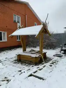 у леса с баней - 5