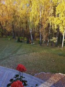 Сезоны - 27