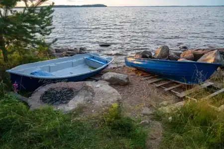 Коди Ярви - 130