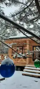 Берёзовая - 3