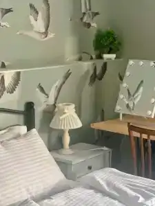 Шартруз Красное - сад, веранда и баня - 11