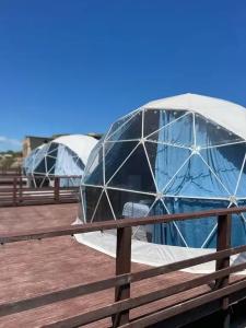 Аквариум - 113