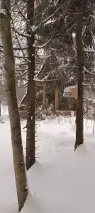 Лисичкин дом - 0