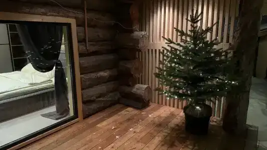 Эко дом из окаменевшей сосны-кело - 11