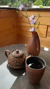 Ольгинка - 2