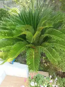 Уютные апартаменты в частном доме с террасой с видом на море - 59