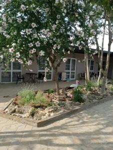 Квартира с отдельным входом - 11