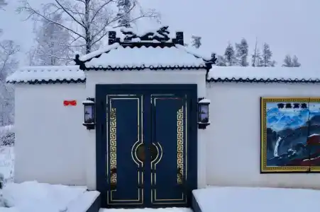 Хэйлун - 263