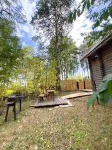 Дача в соснах - 2