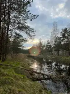 Пралеска - 17