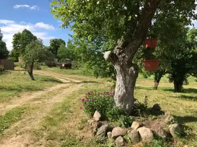Капаново - 6